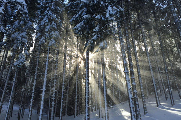 Winter Solstice and Yule Blessings
