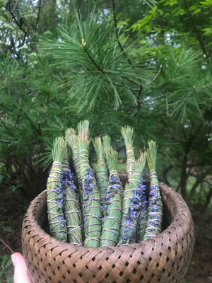 White Pine Smudge Bundle